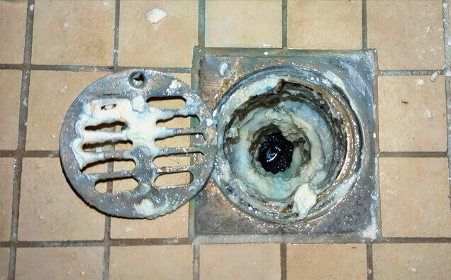 https://blockeddrainsmarmion.com.au/uploads/2025/07/blocked-shower-drains-33151.jpg