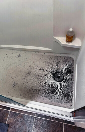 https://blockeddrainsmarmion.com.au/uploads/2025/07/blocked-shower-drains-83587.jpg