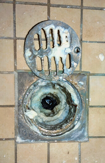 https://blockeddrainsmarmion.com.au/uploads/2025/07/blocked-shower-drains-86331.jpg