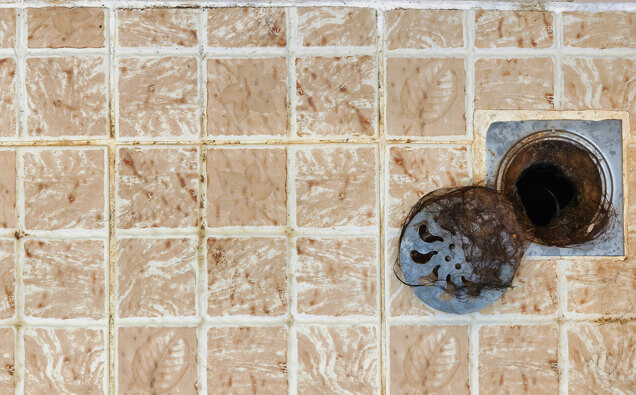 https://blockeddrainsmarmion.com.au/uploads/2025/07/blocked-shower-drains-91576.jpg