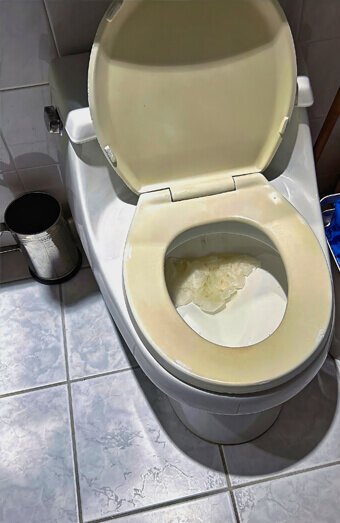 https://blockeddrainsmarmion.com.au/uploads/2025/07/blocked-toilet-27293.jpg