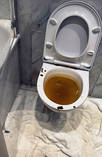 https://blockeddrainsmarmion.com.au/uploads/2025/07/blocked-toilet-27793.jpg