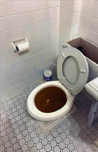 https://blockeddrainsmarmion.com.au/uploads/2025/07/blocked-toilet-99184.jpg