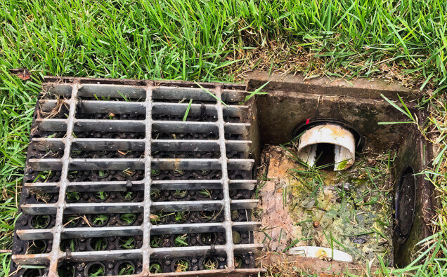 https://blockeddrainsmarmion.com.au/uploads/2025/07/hero-blocked-sewers-40191.jpg